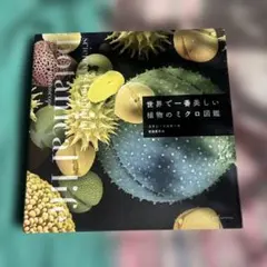 Item thumbnail for item 2098f65e-0e9e-4c04-8cc6-3ecf70acf19f