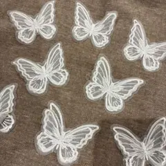 Item thumbnail for item d349a8d5-f8fc-4738-8b91-3b302683965b