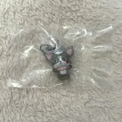 JOCHUM ジェオチャム めじるしアクセサリー めじるしチャーム チュララ