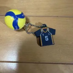 ハイキュー!! 烏野高校 5番 ユニフォーム キーホルダーのサムネイル