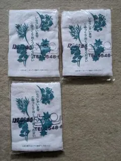 2004年閉館　御前崎サンホテル  ロゴ入りレトロタオル3枚セット