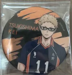 ハイキュー!! 月島蛍 トレーディングメタル缶バッジ