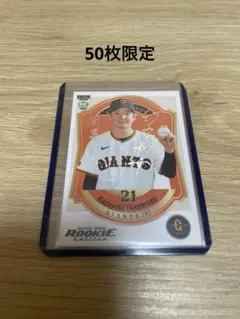 Item thumbnail for item 01d22767-7a50-4515-8ef1-04c85182583a