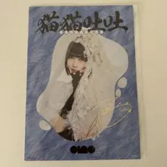 あのちゃん 複製サイン入りA4ポスター ano 「CD 猫猫吐吐」