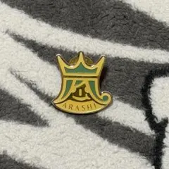 ARASHI 10-11 TOUR ピンバッジ　2010