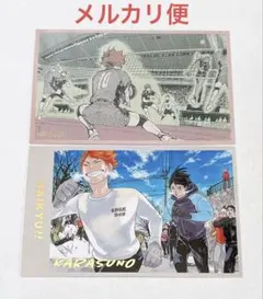 2026年最新】日向翔陽まとめ売りの人気アイテム - メルカリ