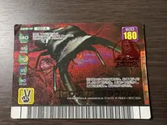 甲虫王者ムシキング オオクワガタ アダーコレクション フォレスト