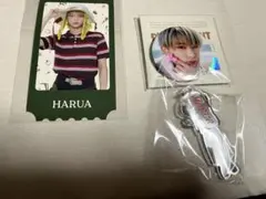 &TEAM HARUA フォトカード 缶バッジセット