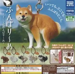 ふんばり〜ぬ ガチャ パグ３個　柴犬1個　未開封