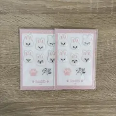 StrayKids FC限定オンラインくじ リノ リービット シールのサムネイル
