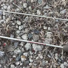 2026年最新】ダイワ プロキャスターXの人気アイテム - メルカリ