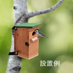 Item thumbnail for item e4472486-07ee-4dc3-a138-7eb9085a1e88