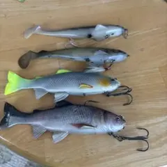 2026年最新】レイジースイマー 6の人気アイテム - メルカリ