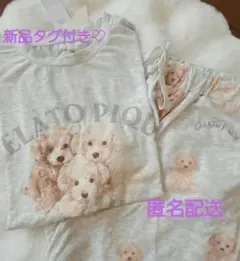 Item thumbnail for item 514f30fe-8a91-43c8-8b9b-b6f41258ccf4