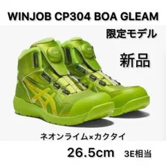 2026年最新】CP304 boa gleamの人気アイテム - メルカリ