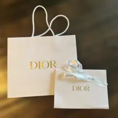 Dior ホワイト ショッパー 2点セット