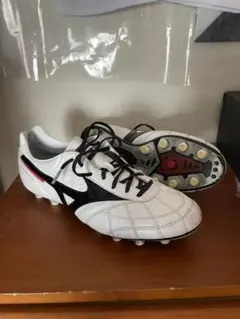 モレリア2 japan クロススケッチ