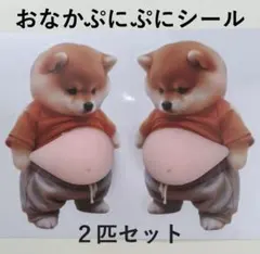 おなかぷにぷに立体シール 柴犬 3D スクイーズ 可愛い 癒し系　メタボ犬