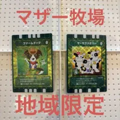 【新品未使用・地域限定】ぐるり森 エスパージョイ Amazon.co.jp: ぐるり森 ジョイランド諏訪店 地域限定カード