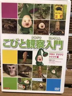 【レンタル落】クリーニング済 こびと観察入門　マモリコモリ アマクリソツ