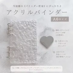 アクリルバインダー 単品 saving 貯金 A6 バインダー貯金 家計管理