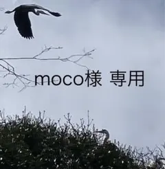 moco様 専用