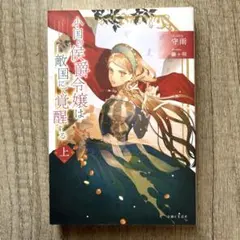 【初版】小国の侯爵令嬢は敵国にて覚醒する(上)
