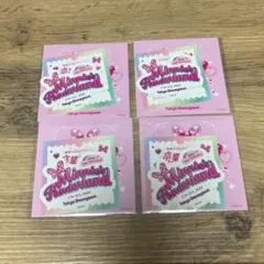 ミニーのファンダーランド 卒業しない旅行 パルパルーザ ステッカー