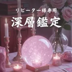 せれくとしょっぷ❤ああち様専用 質問ひとつ