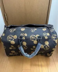 Item thumbnail for item 25e91903-38ee-47c5-8b31-640ced5b5813