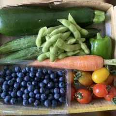 農薬不使用ブルーベリーとと野菜セットのサムネイル