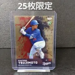 Item thumbnail for item 79f07975-b89c-4bbb-aaee-f92c2c19d47c