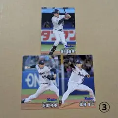 カルビー2025プロ野球チップス カードセット(ヤクルトスワローズ③)
