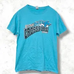 フルーツオブザルーム Tシャツ クルーネック プリント S 水色 綿 スポーツ
