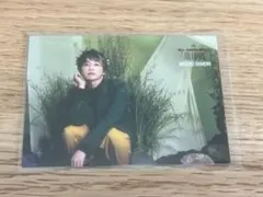 Mrs.GREEN APPLE フォトカード　005