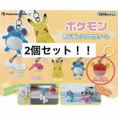ポケモン　めじるしアクセサリー2 ビリリダマ×2個