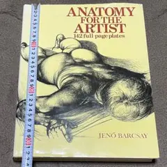 ANATOMY FOR THE ARTIST・142 full-page・洋書 ANATOMY FOR THE ARTIST・142 full-page・洋書 - メルカリ