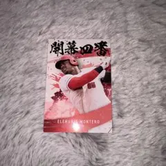 プロ野球チップス2025第二弾 広島東洋カープ エレフリス・モンテロ