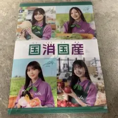乃木坂46 クリアファイル