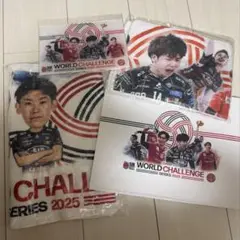 ペルージャ　サントリーサンバーズ大阪
