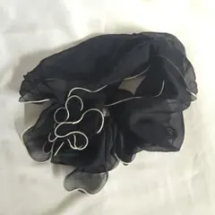 Item thumbnail for item 4cb3aa2e-fbcd-4664-8044-31ab126df72f