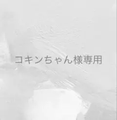 コキンちゃん様 リクエスト 2点 まとめ商品