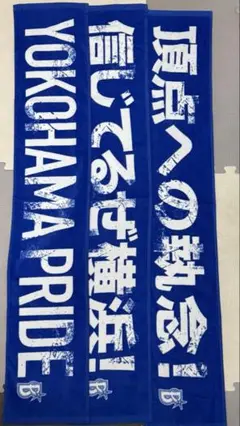 横浜DeNAベイスターズ 大声援タオル3枚セット