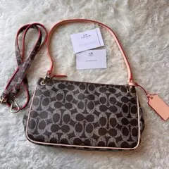 美品 COACH ショルダーバッグ シグネチャー ハンドバッグ 2way