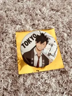 Item thumbnail for item 69f30162-7db4-421e-8d87-0b205de1329c