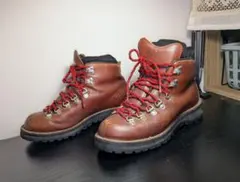 DannerのMountain Lightブーツ（型番：30520X）