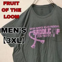 AA264【FRUIT OF THE LOOM】 プリント 半袖Tシャツ【3XL
