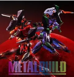 ピ*コ様 メタルビルド　［EVA2020］　セット