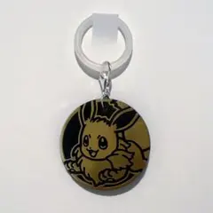 ポケモンコイン　めじるしチャーム　イーブイ