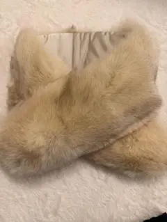 SAGA FOX ファーストール